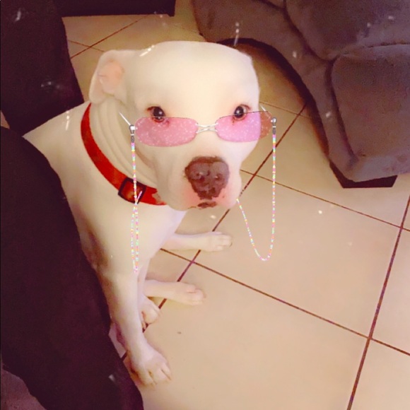 Meet your Posher, Margarita - Picture 1 of 1